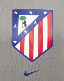 Hombre Atlético de Madrid Camiseta Gris Nike 24/25